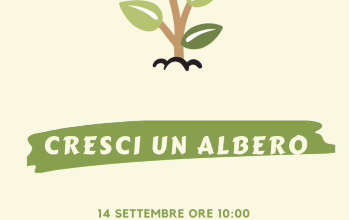 Notizie ALBERI