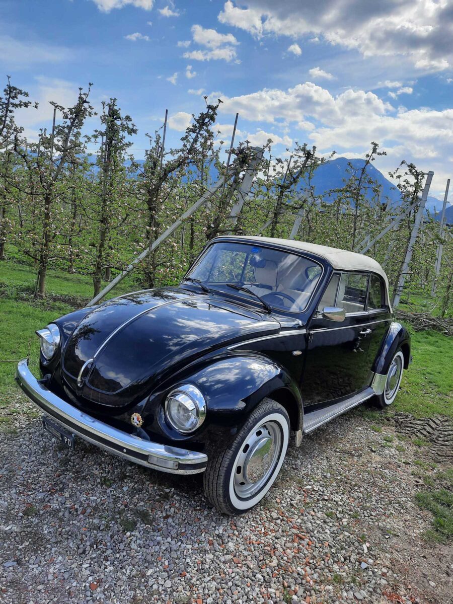 VW Käfer Cabrio 1976 1055