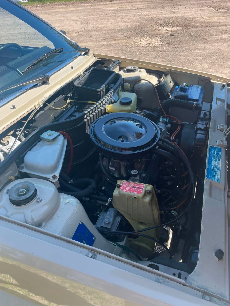 779166892_1837131010628186_8485126969993910509_n Lancia Delta Baujahr 1980 1.300cc 68.000 km mit AK 779166892 1837131010628186 8485126969993910509 n